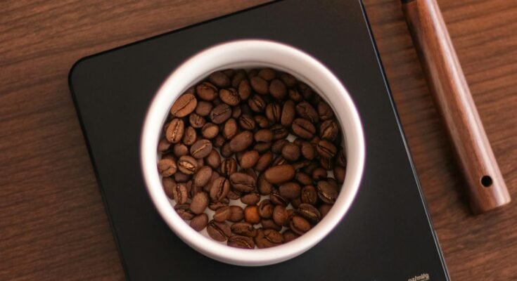 mushroom coffee for weight loss